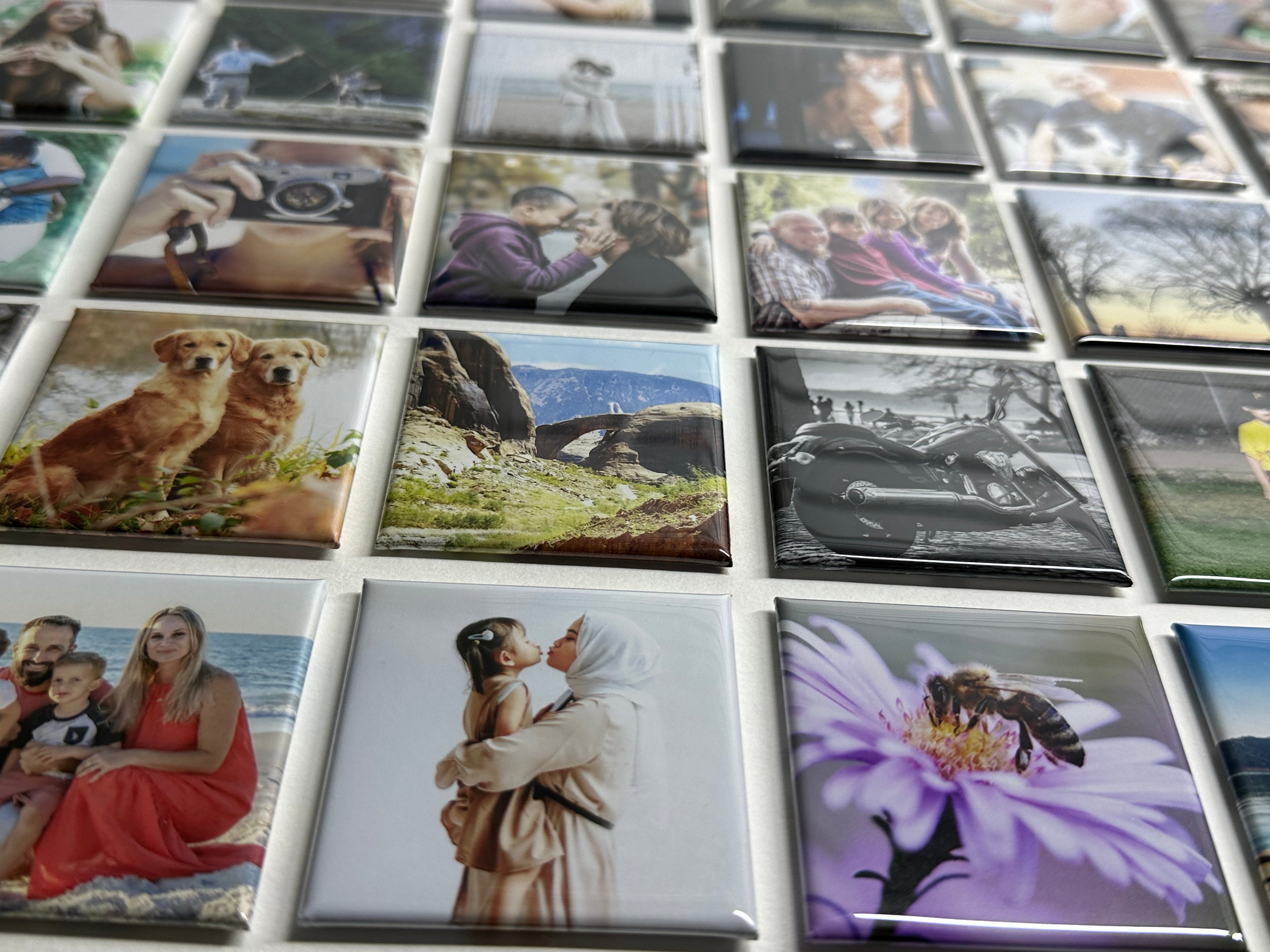 Collection of small square photo magnets featuring various subjects like people, animals, and landscapes.
